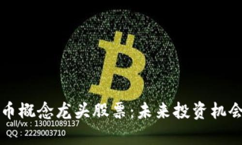 揭秘数字货币概念龙头股票：未来投资机会与风险分析