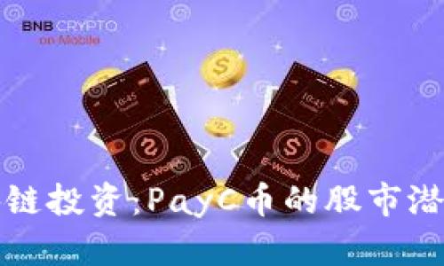 深入解析区块链投资：PayC币的股市潜力和投资价值