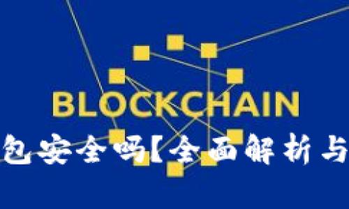 数字冷钱包安全吗？全面解析与安全建议