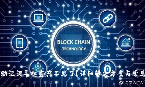 tpWallet助记词导入资产不见了？详细解决方案与常见问题解析