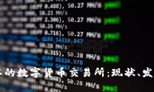 中国承认的数字货币交易所：现状、发展与展望