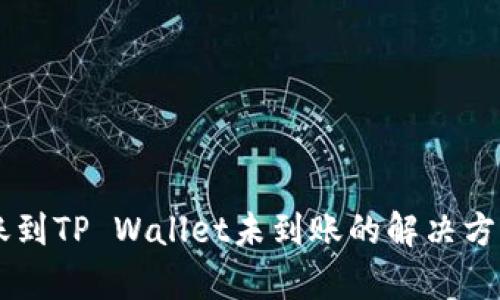 币安转账到TP Wallet未到账的解决方案与分析