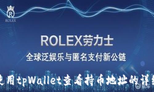   
如何使用tpWallet查看持币地址的详细指南