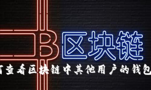 : 如何查看区块链中其他用户的钱包信息？