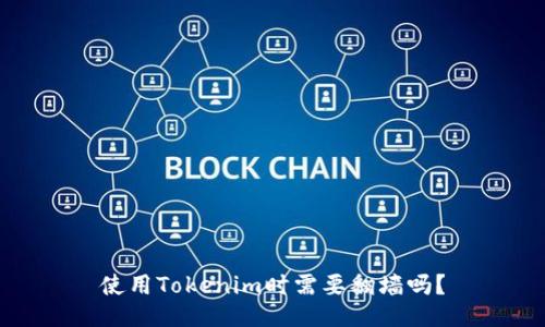 使用Tokenim时需要翻墙吗？