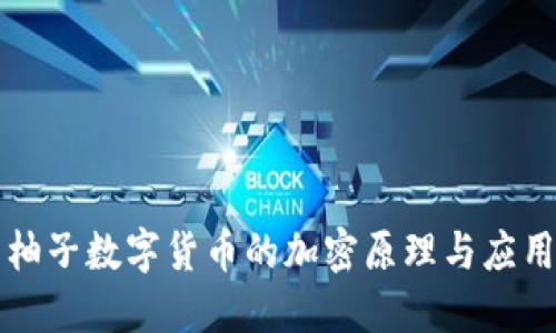 柚子数字货币的加密原理与应用
