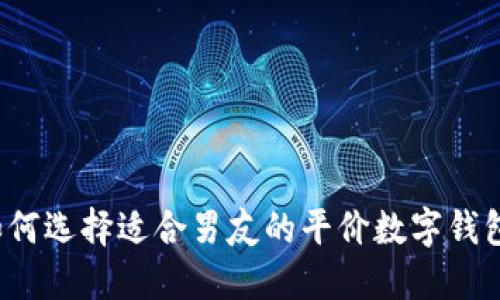 如何选择适合男友的平价数字钱包？