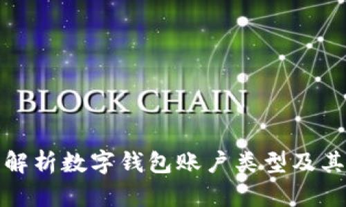 全面解析数字钱包账户类型及其优势