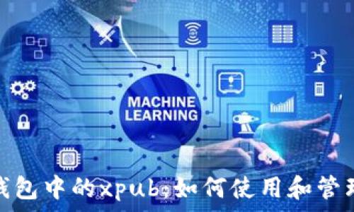   
全面解析比特币钱包中的xpub：如何使用和管理你的比特币地址