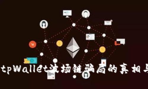 深入解析：tpWallet波场链骗局的真相与防范措施