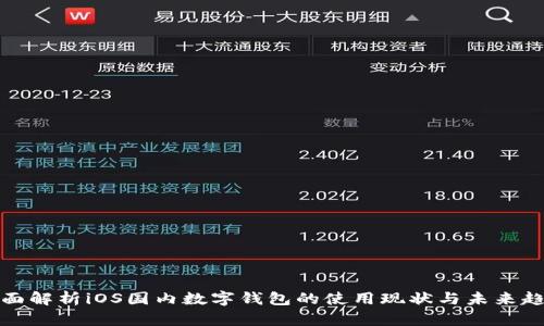 全面解析iOS国内数字钱包的使用现状与未来趋势