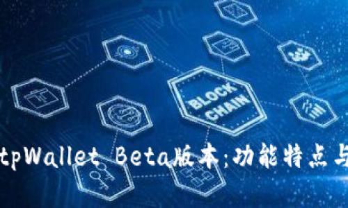 全面解析tpWallet Beta版本：功能特点与使用指南