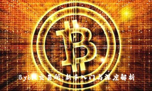 Bybit交易所：新手入门与深度解析