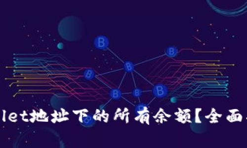 如何查询TPWallet地址下的所有余额？全面指南与实用技巧