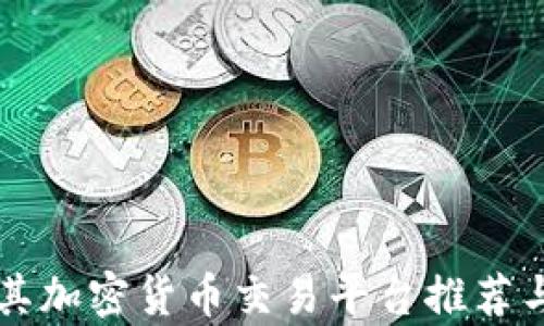 
土耳其加密货币交易平台推荐与分析