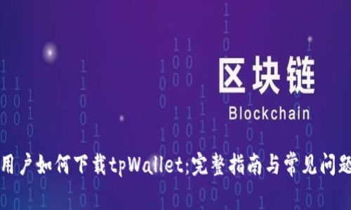 海外用户如何下载tpWallet：完整指南与常见问题解析
