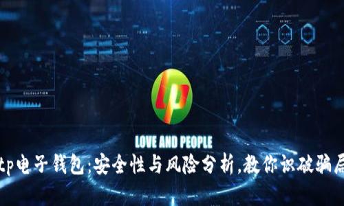 tp电子钱包：安全性与风险分析，教你识破骗局