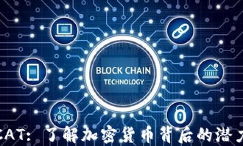 
虚拟币CAT: 了解加密货币背后的潜力与风险