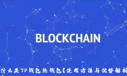  
什么是TP钱包热钱包？使用方法与优势解析