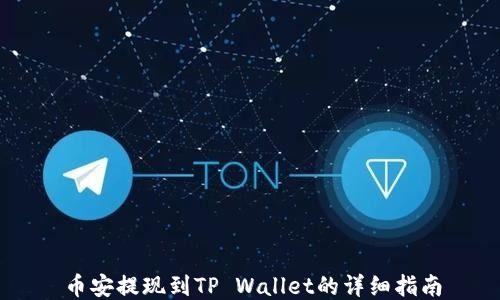 
币安提现到TP Wallet的详细指南