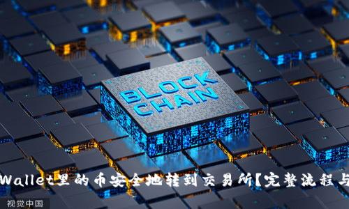 如何将tpWallet里的币安全地转到交易所？完整流程与注意事项