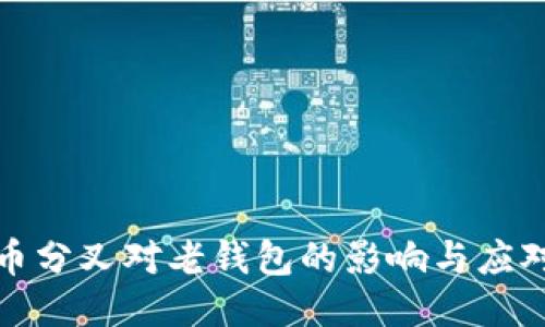 比特币分叉对老钱包的影响与应对策略