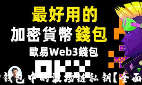 
如何找回TP钱包中的波场链私钥？全面指南与技巧