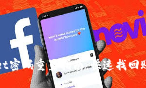 TPWallet密码重置指南：快速找回账户安全