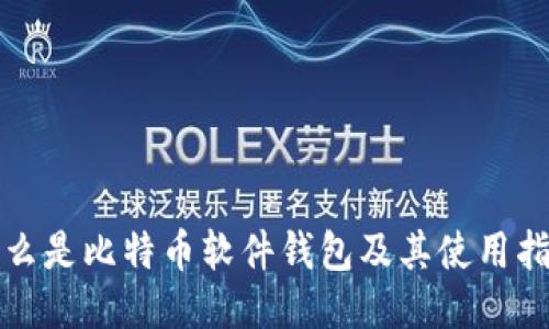什么是比特币软件钱包及其使用指南