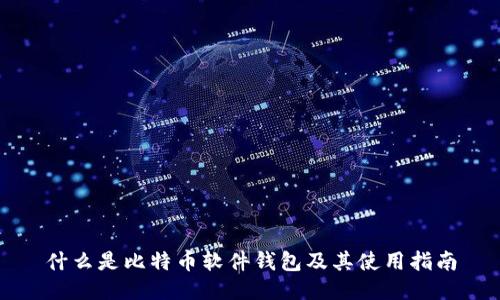 什么是比特币软件钱包及其使用指南