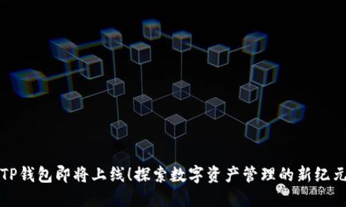 TP钱包即将上线！探索数字资产管理的新纪元