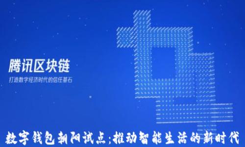 
数字钱包朝阳试点：推动智能生活的新时代