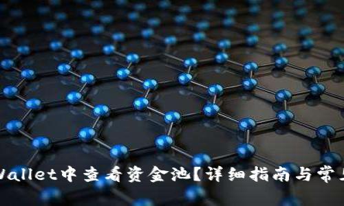 如何在TPWallet中查看资金池？详细指南与常见问题解答