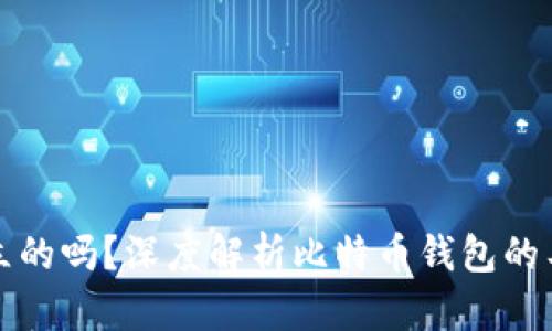 比特币钱包是独立的吗？深度解析比特币钱包的工作原理与安全性