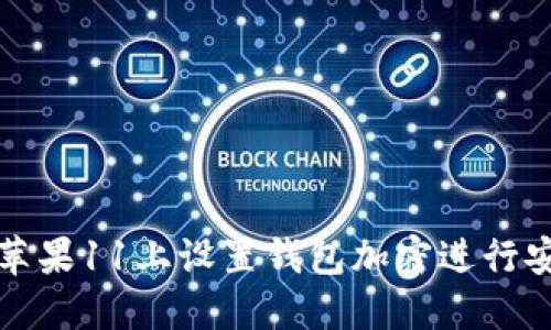 如何在苹果11上设置钱包加密进行安全保护