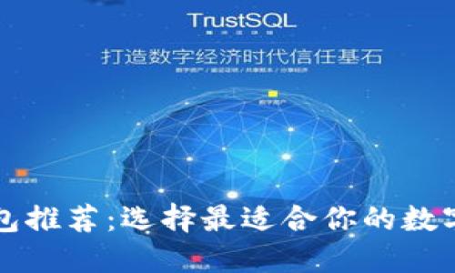 比特币桌面钱包推荐：选择最适合你的数字货币安全方案