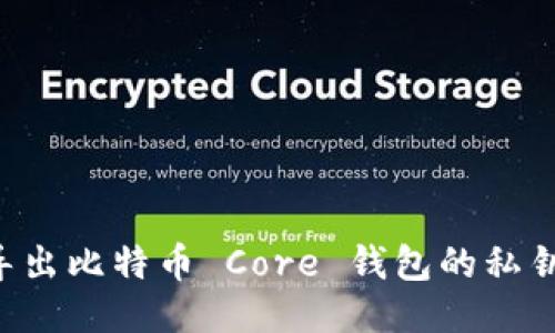 如何全面导出比特币 Core 钱包的私钥：终极指南