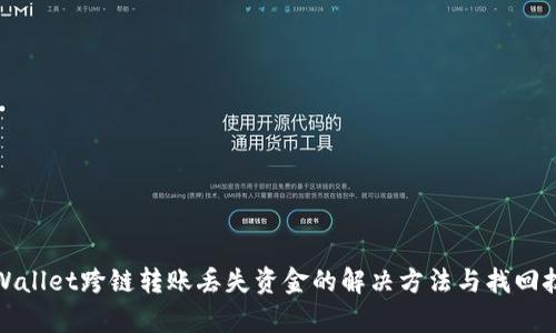 tpWallet跨链转账丢失资金的解决方法与找回技巧