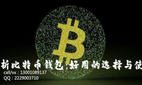 全面解析比特币钱包：好用的选择与使用指南