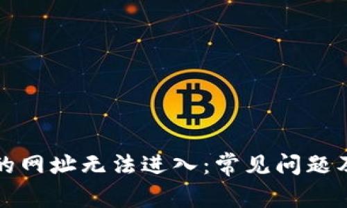 TP钱包中的网址无法进入：常见问题及解决方法