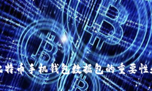 全面解析比特币手机钱包数据包的重要性和使用技巧
