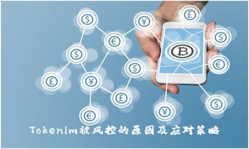 Tokenim被风控的原因及应对策略