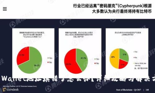 TP Wallet地址填错了怎么办？详细攻略与解决方案