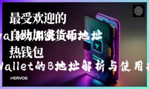 tpwallet上是b的地址

TPWallet的B地址解析与使用指南