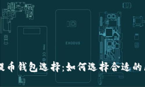 USDT提币钱包选择：如何选择合适的区块链