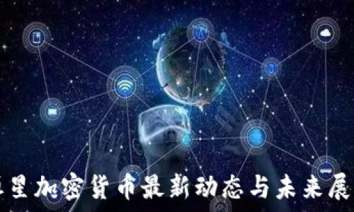   
恒星加密货币最新动态与未来展望