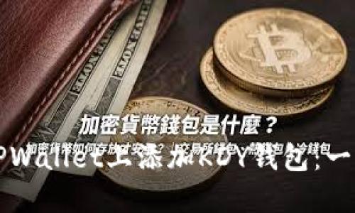 如何在TPWallet上添加KDY钱包：一步步指南