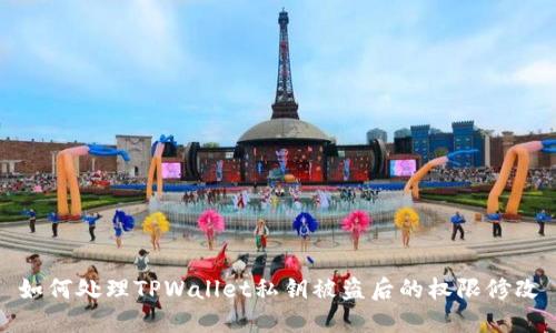 如何处理TPWallet私钥被盗后的权限修改