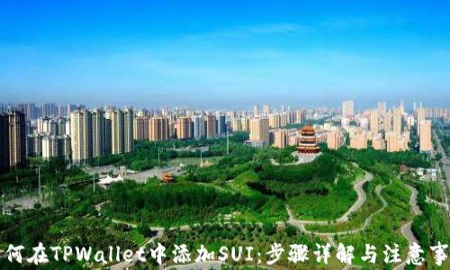 
如何在TPWallet中添加SUI：步骤详解与注意事项