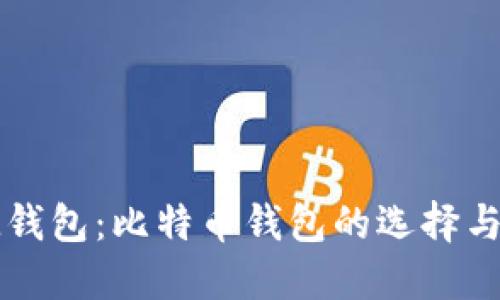 **了解IM钱包：比特币钱包的选择与使用指南